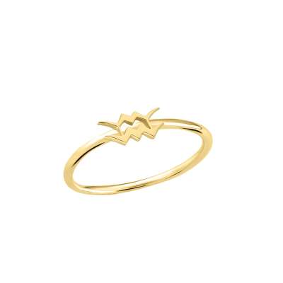 14 Ayar Altın Kova Burç Yüzük - ENGİNGOLD