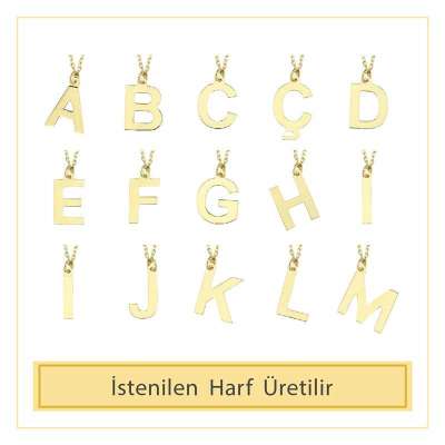 14 Ayar Altın N Harfli Kolye - 3