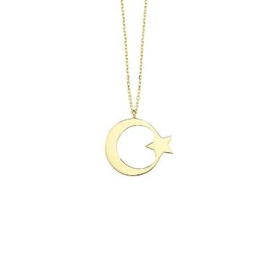 14 Ayar Altın Plaka Ayyıldız Kolye - ENGİNGOLD