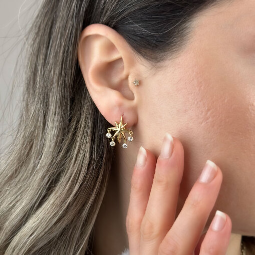 14 Ayar Altın Taşlı Kutup Yıldızı Küpe - 1