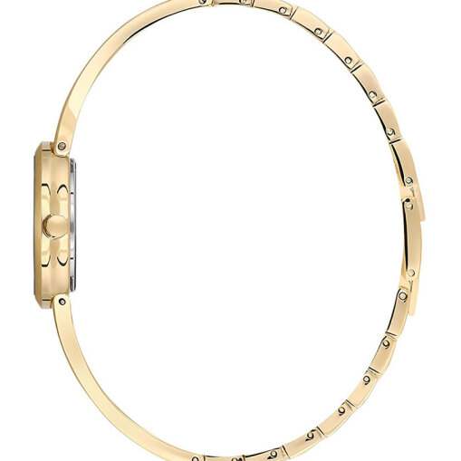 Essence D1228.120 Kadın Kol Saati - 2